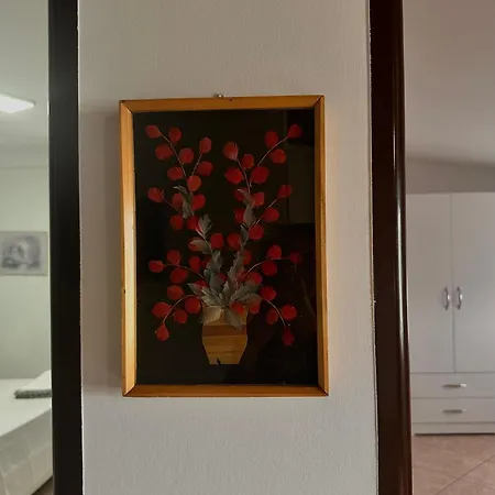 Grand House Apartment Selitë e Vogël